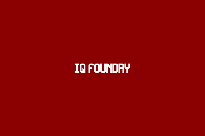 Technology Solutions Firm IQ Foundry