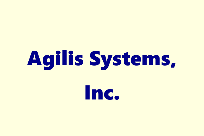 Software Consultancy Agilis Systems Inc.