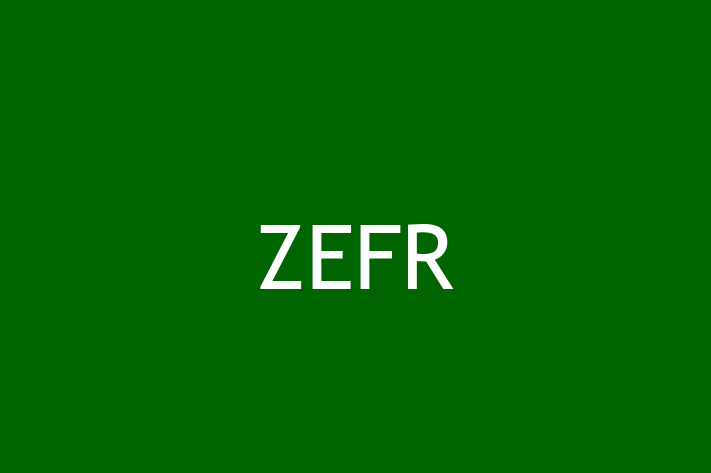 Tech Solutions Company ZEFR