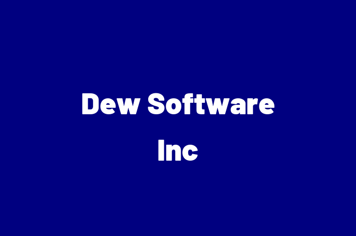 Software Solutions Provider Dew Software Inc