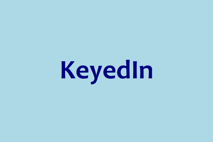 Tech Solutions Company KeyedIn