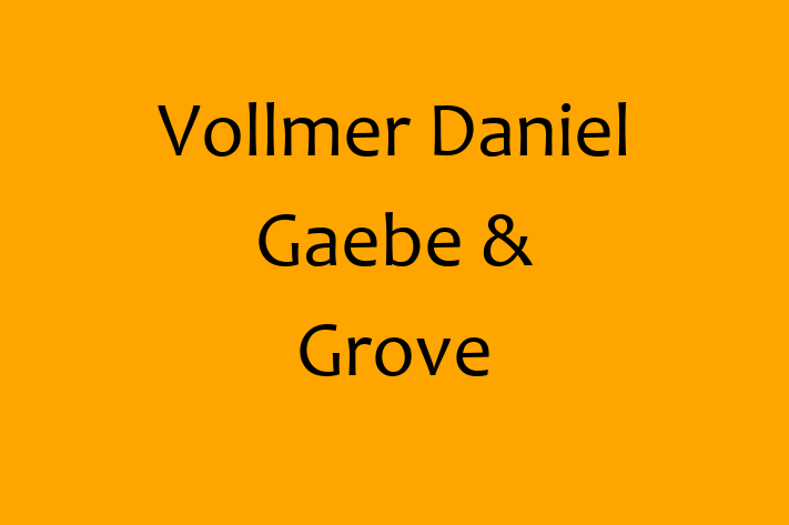 Registered Public Accountant Vollmer Daniel Gaebe Grove