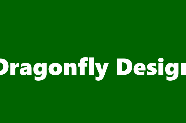 Software Development Company Dragonfly Design