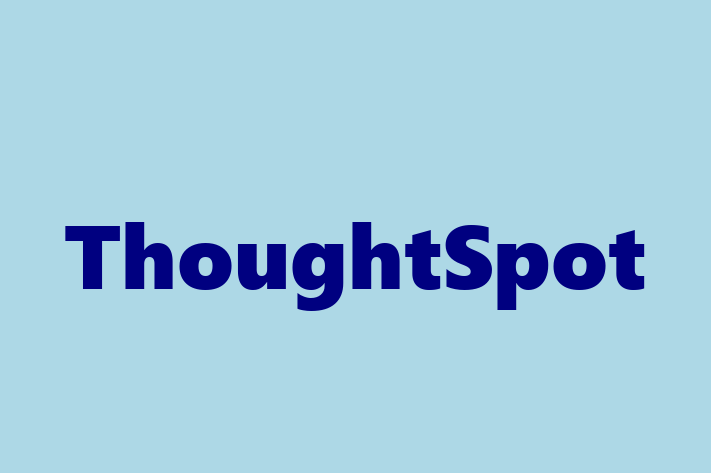 Software Firm ThoughtSpot