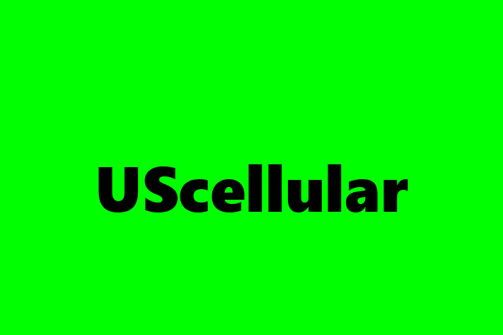 Human Resource Management UScellular