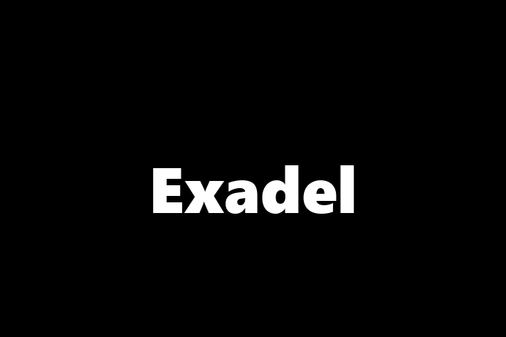 Software Services Company Exadel