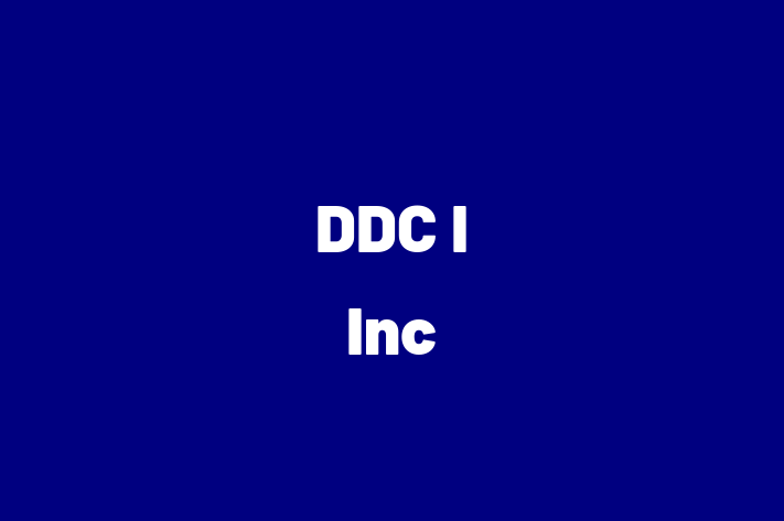 Software Development Company DDC I Inc