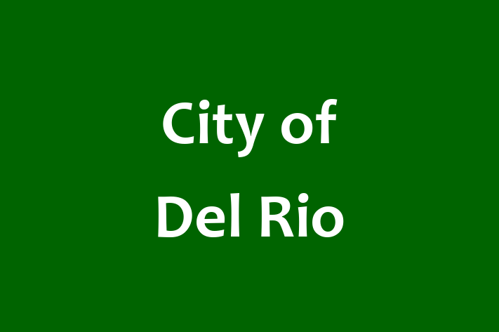 Software Services Company City of Del Rio