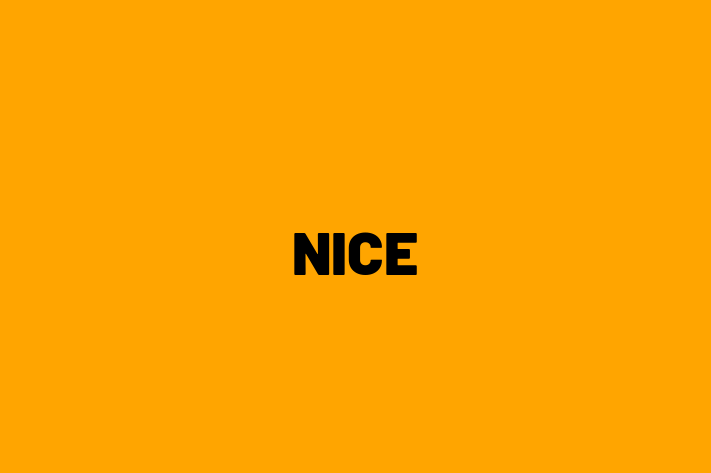 Software Engineering Company NICE