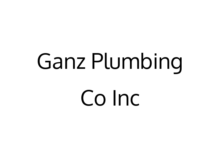 Construction contractor Ganz Plumbing Co Inc