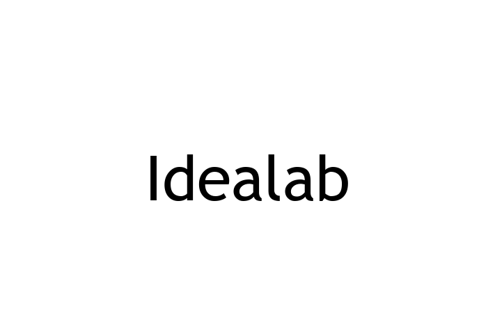 Software Solutions Provider Idealab