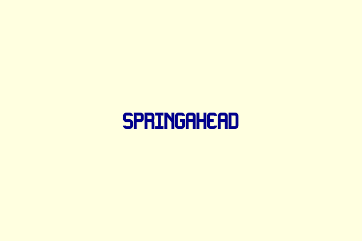 Software House SpringAhead