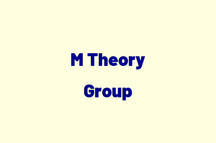 Tech Solutions Company M Theory Group