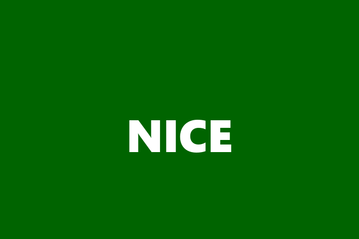 Technology Solutions Firm NICE