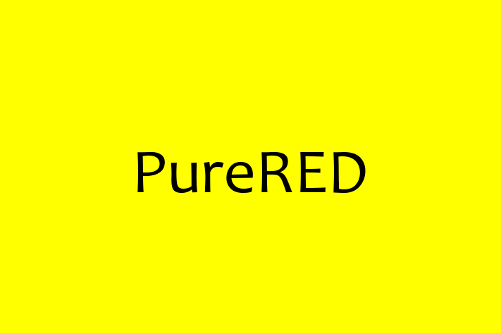 Software Development Firm PureRED