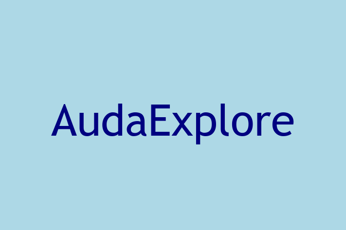 Technology Solutions Firm AudaExplore