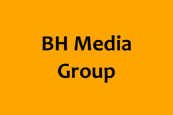 Software Consultancy BH Media Group