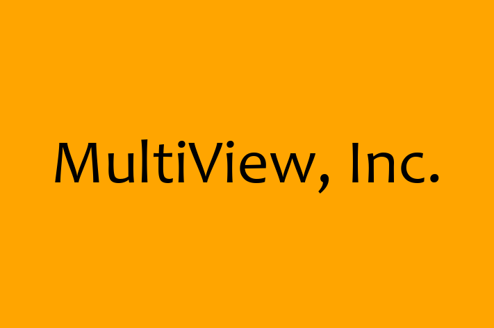 IT Company MultiView Inc.