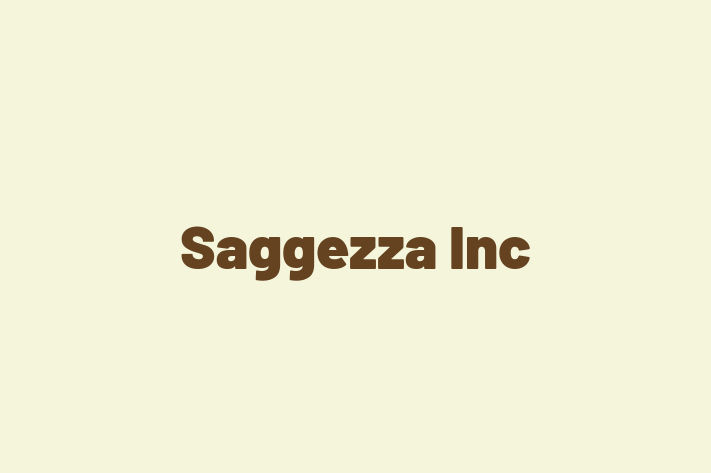 Software Consultancy Saggezza Inc