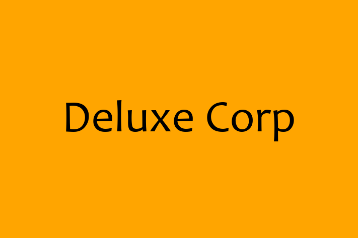 IT Company Deluxe Corp