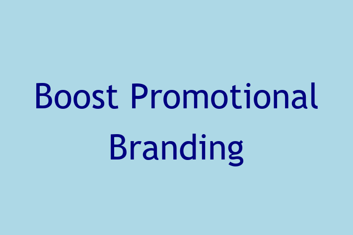 Software Consultancy Boost Promotional Branding