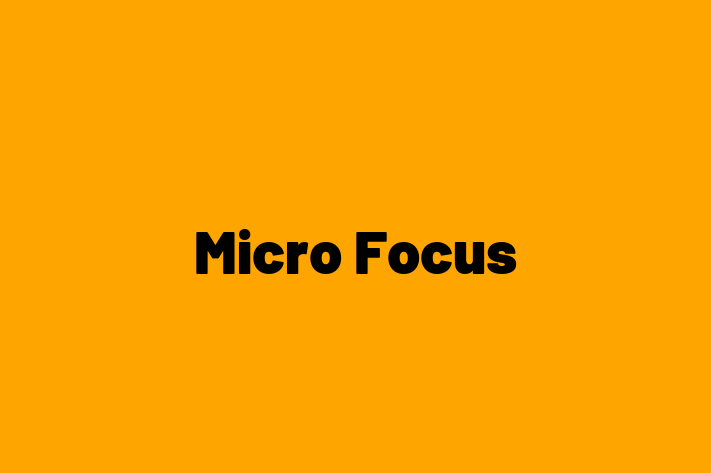 Software Services Company Micro Focus