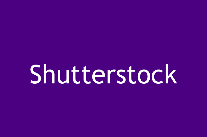 Digital Solutions Provider Shutterstock