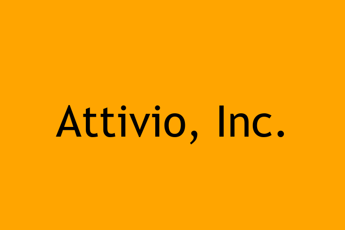 Software Development Firm Attivio Inc.