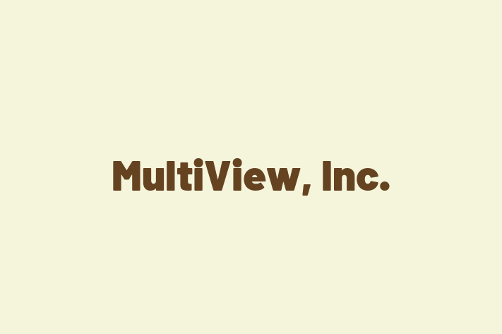 Software Services Company MultiView Inc.