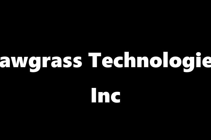 Technology Solutions Firm Sawgrass Technologies Inc