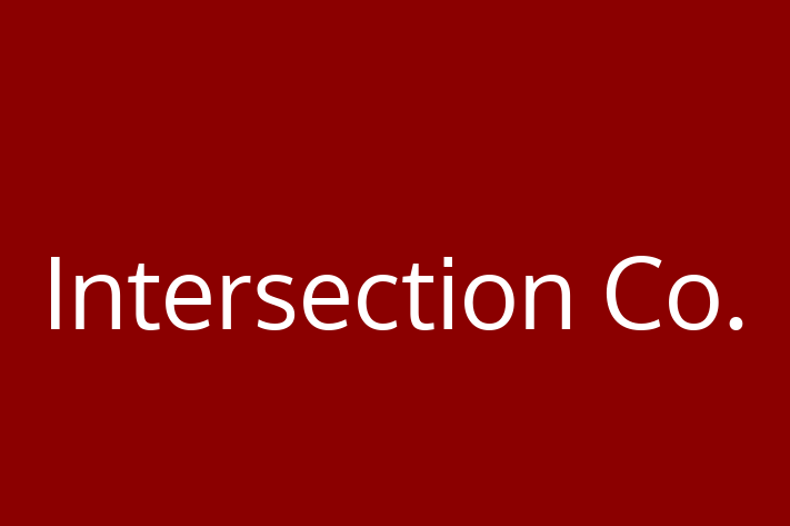 Tech Solutions Company Intersection Co.