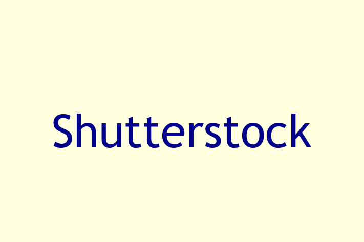 Technology Solutions Firm Shutterstock