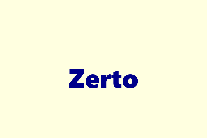 Tech Solutions Company Zerto