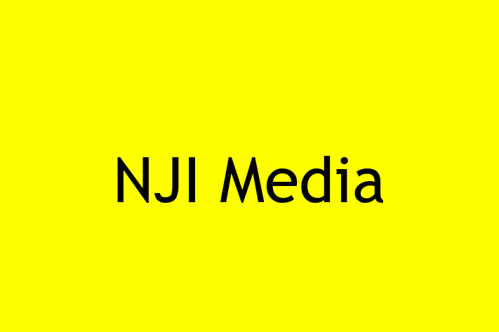 Software Consultancy NJI Media