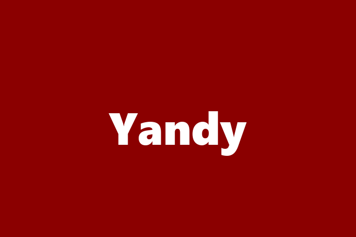 Employee Relations Yandy