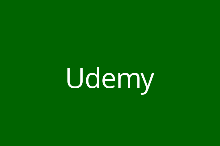 IT Company Udemy