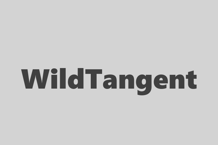 Software Consultancy WildTangent