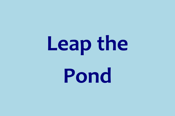 Tech Firm Leap the Pond