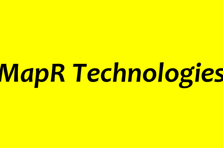 Technology Solutions Firm MapR Technologies