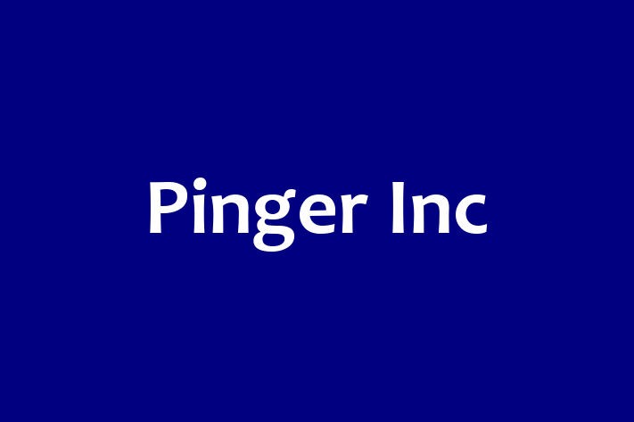 Application Development Company Pinger Inc