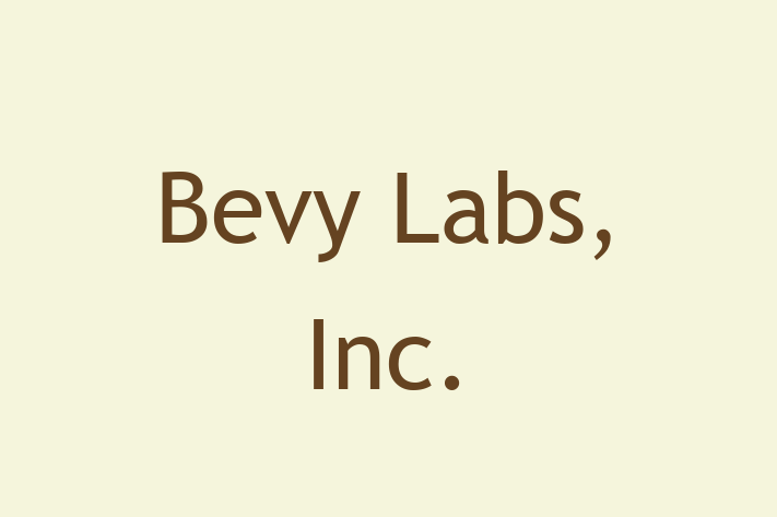 Digital Solutions Provider Bevy Labs Inc.