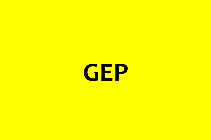 Software Engineering Company GEP