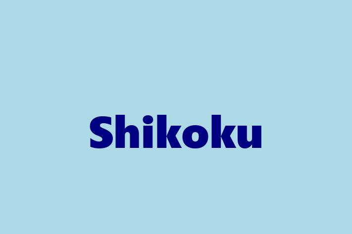 Shikoku for Sale in West Covina