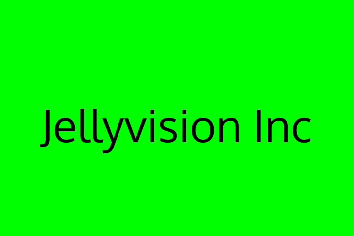 Application Development Company Jellyvision Inc