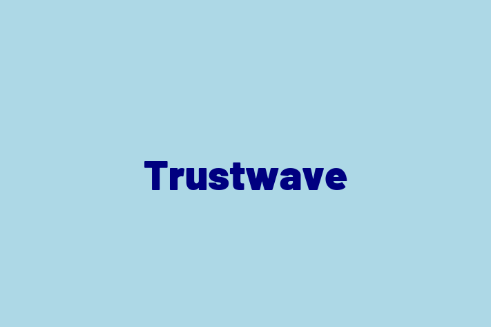 Digital Solutions Provider Trustwave