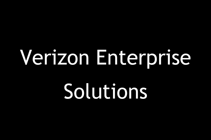 IT Company Verizon Enterprise Solutions