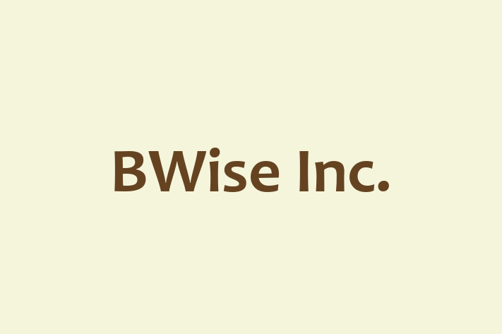 Technology Solutions Firm BWise Inc.