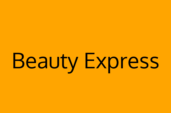 Day Spas Beauty Express