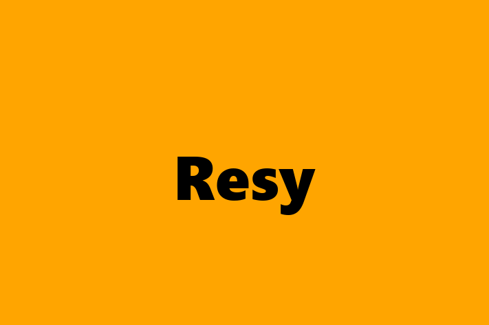 Software Engineering Company Resy