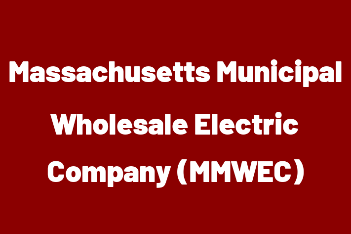 Tech Solutions Company Massachusetts Municipal Wholesale Electric Company MMWEC